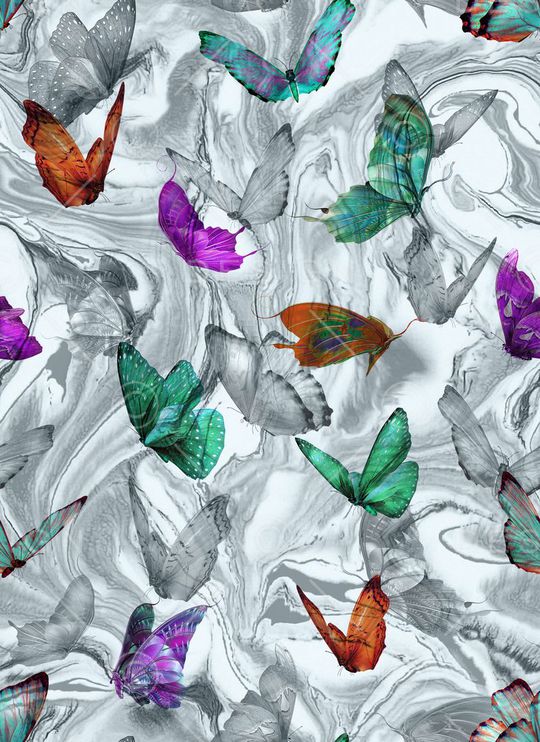 Fei-动物世界印花华亿平台图片