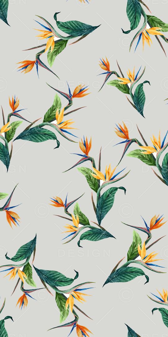 天堂鸟印花华亿平台图片