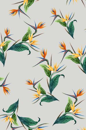 天堂鸟印花华亿平台图片