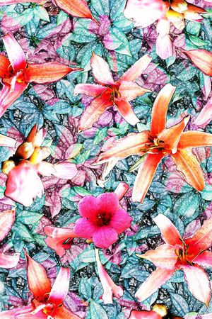 摄影印花华亿平台图片