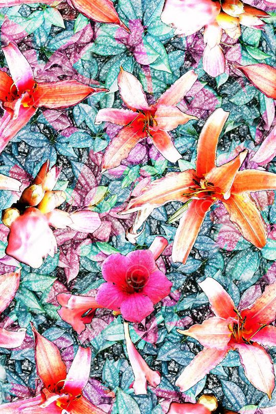 摄影印花华亿平台图片