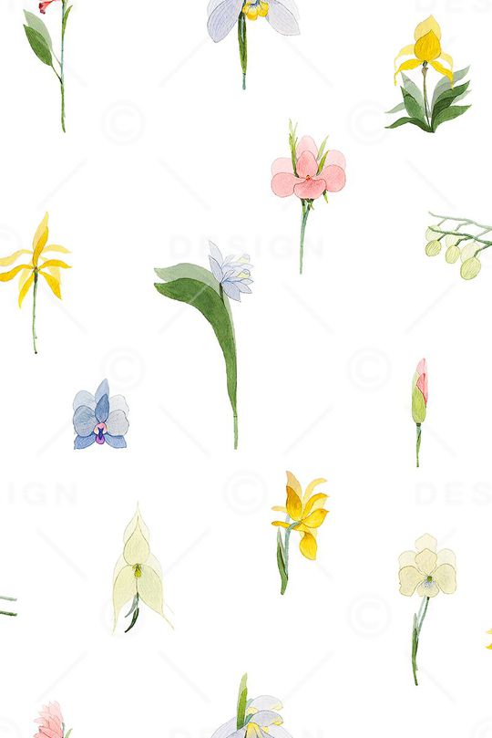 女装印花华亿平台图片