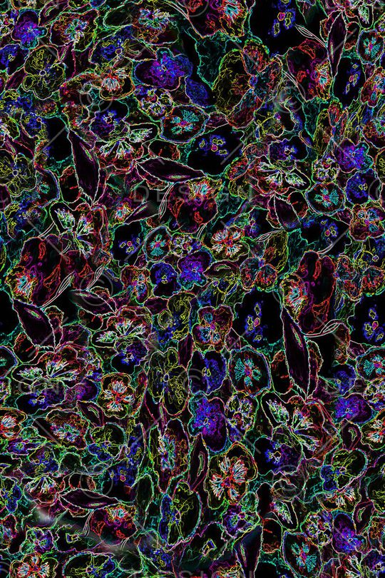 女装印花华亿平台图片