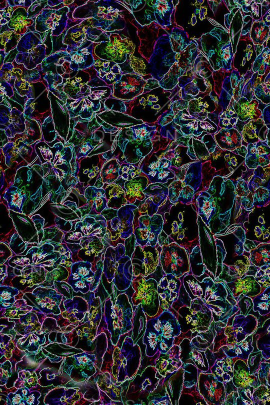 女装印花华亿平台图片