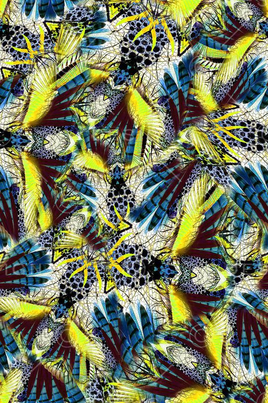 女装印花华亿平台图片