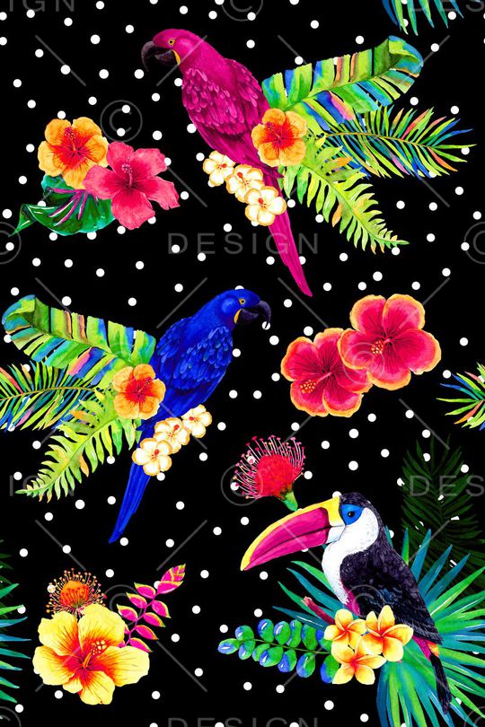 泳装印花华亿平台图片