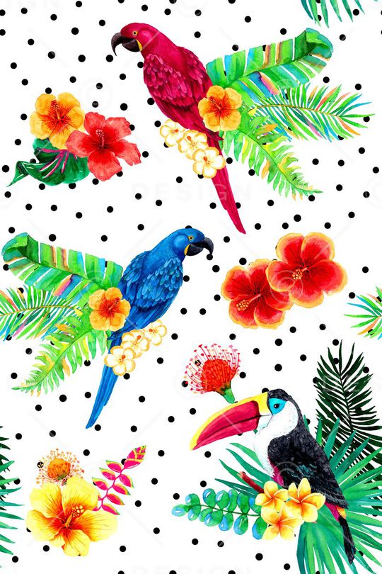 泳装印花华亿平台图片