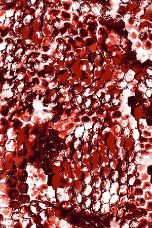 大方印花华亿平台图片