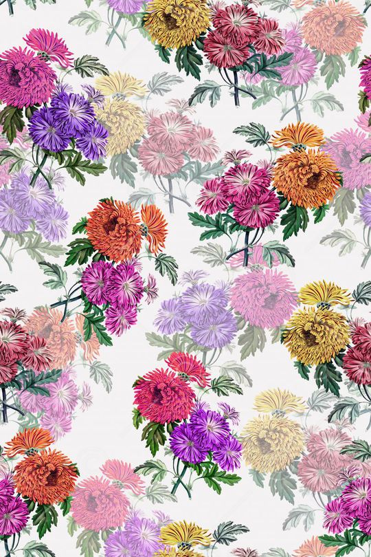 水彩、浪漫、花卉、女装印花华亿平台图片