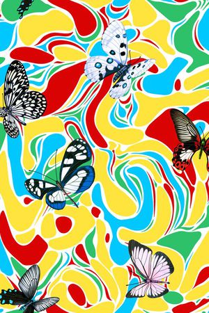 Fei-女装印花华亿平台图片