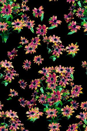 时尚女装印花华亿平台图片