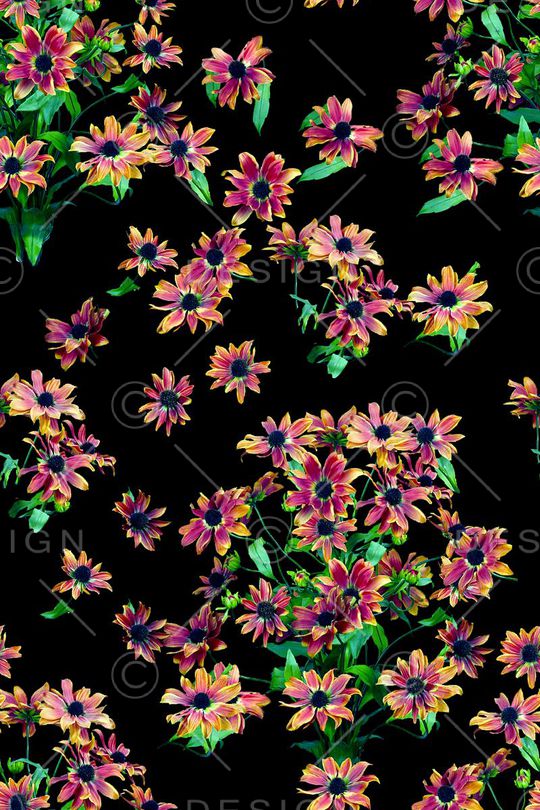 时尚女装印花华亿平台图片