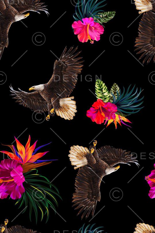 老鹰印花华亿平台图片