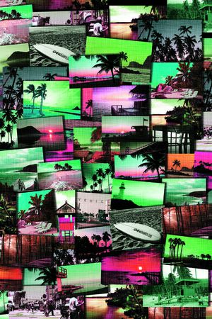 沙滩裤印花华亿平台图片