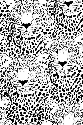 672391-炫彩狮子头 白底