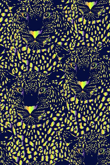 672392-炫彩狮子头 宝蓝底