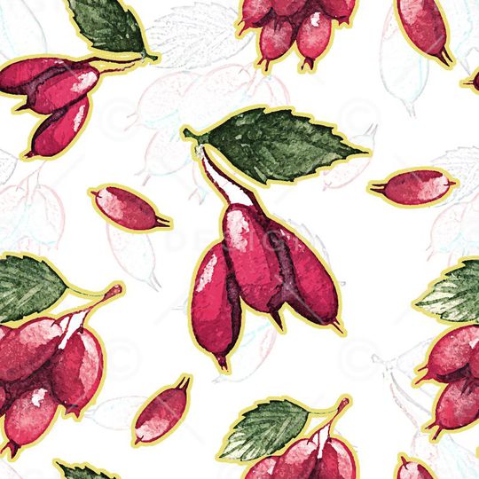 蔬菜印花华亿平台图片