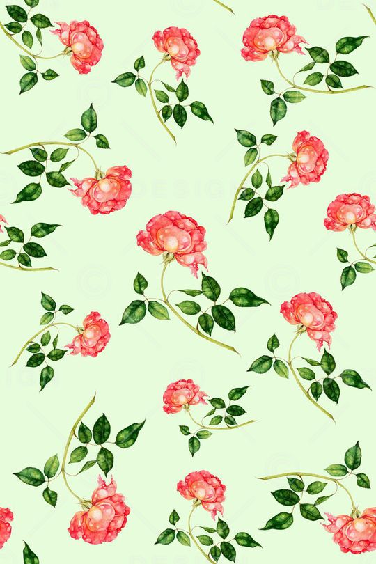 玫瑰花印花华亿平台图片