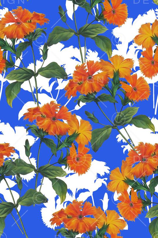 水彩、浪漫、花卉、女装印花华亿平台图片