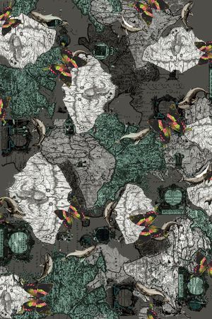 地图印花华亿平台图片