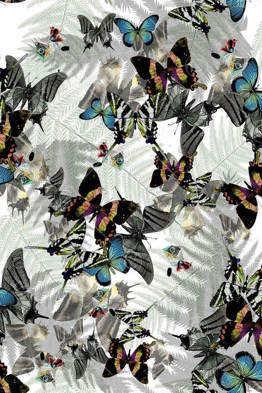 昆虫印花华亿平台图片