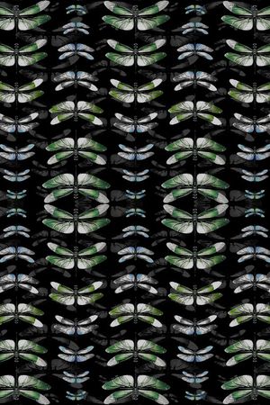 昆虫印花华亿平台图片