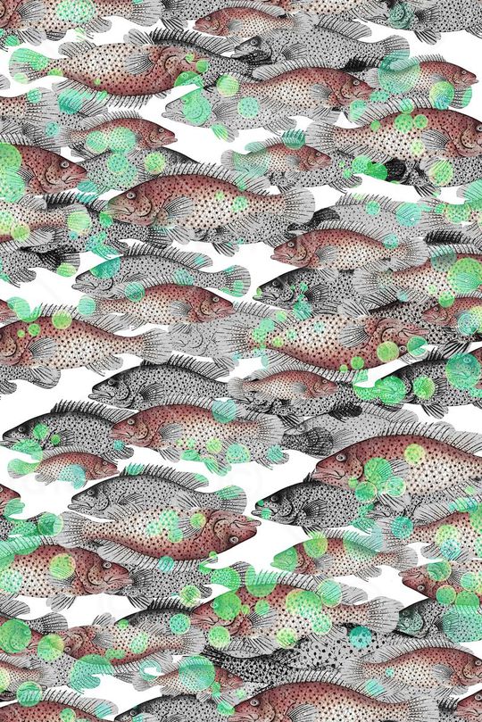 热带印花华亿平台图片