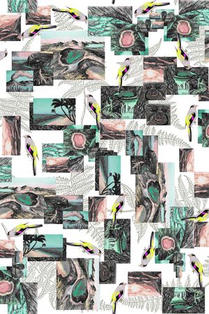 棕榈叶印花华亿平台图片