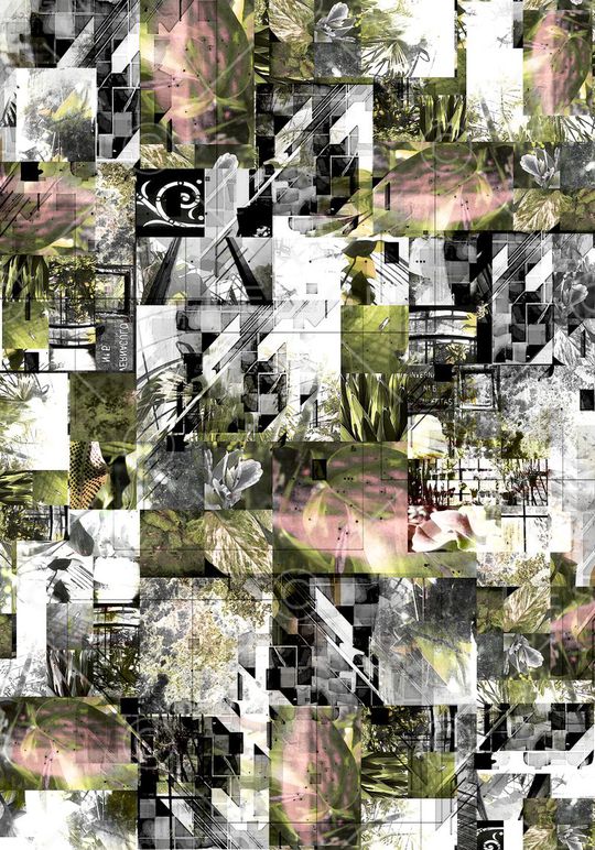 棕榈叶印花华亿平台图片