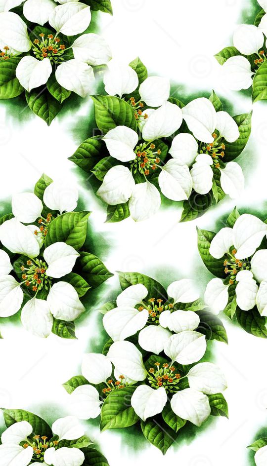 小清新花卉印花华亿平台图片