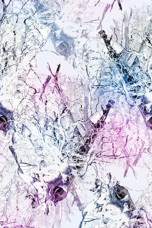 树枝印花华亿平台图片