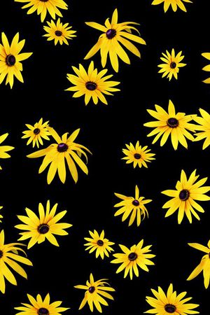 菊花印花华亿平台图片