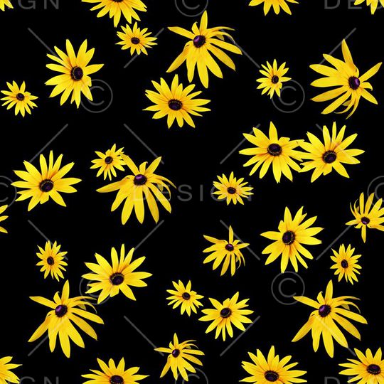 菊花印花华亿平台图片