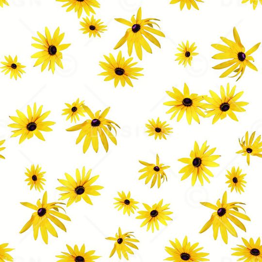 菊花印花华亿平台图片