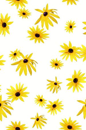 菊花印花华亿平台图片