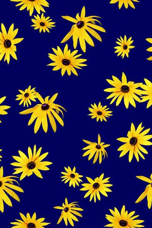 菊花印花华亿平台图片