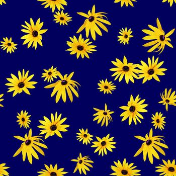 673011-黄小菊花蓝