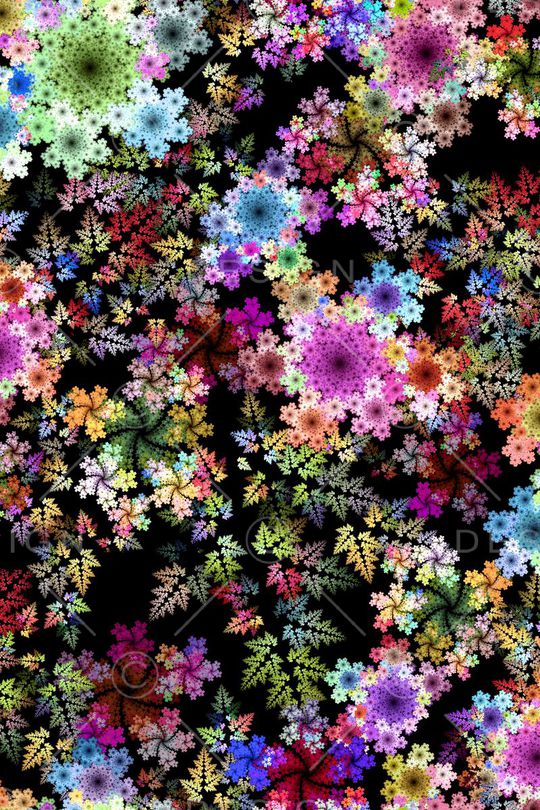 别样花卉。叶子印花华亿平台图片