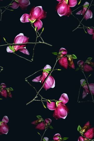 冬装印花华亿平台图片