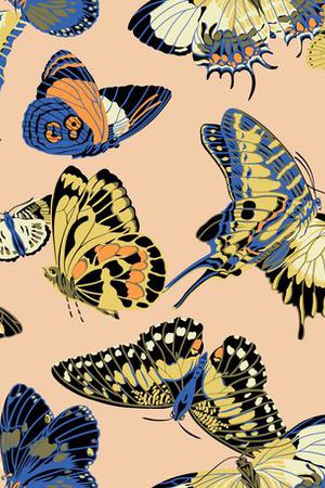 蝴蝶印花华亿平台图片