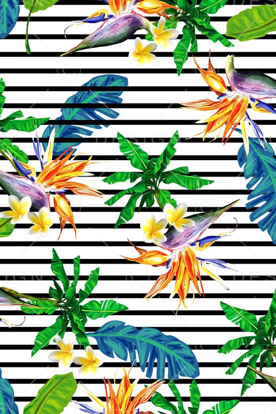 热带印花华亿平台图片