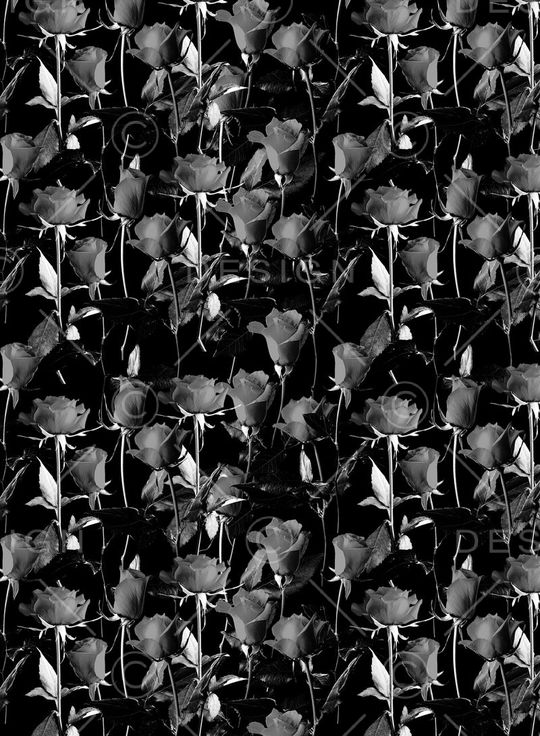 marceloburlon印花华亿平台图片