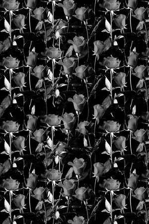 marceloburlon印花华亿平台图片