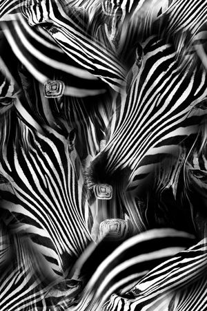 时尚印花华亿平台图片