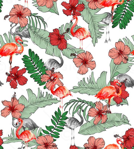 棕榈叶印花华亿平台图片