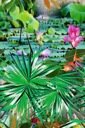 条纹印花华亿平台图片