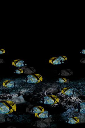 热带印花华亿平台图片