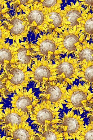 向日葵印花华亿平台图片