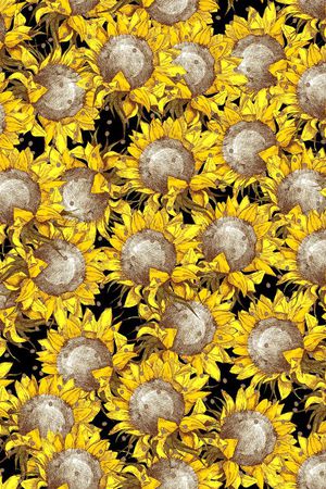 向日葵印花华亿平台图片