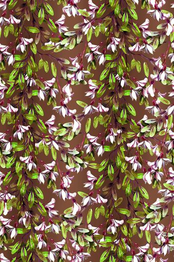 673596-田园水彩藤蔓花卉1-2